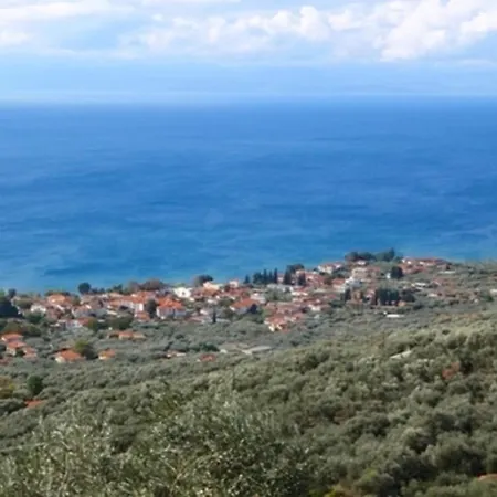 Platanofylla Pelion No.11 - #a43527 Lejlighed Kala Nera